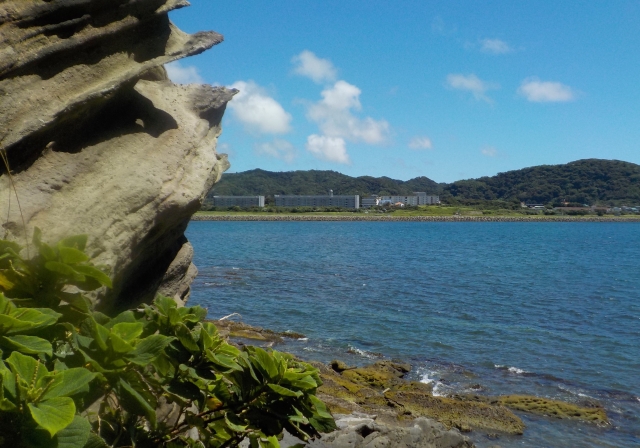 南房総　沖ノ島