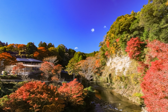 千葉　養老渓谷の紅葉